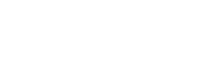 DIXIT Logo